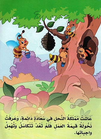 صورة المنتج 5