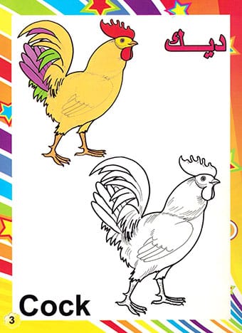 صورة مصغرة 2