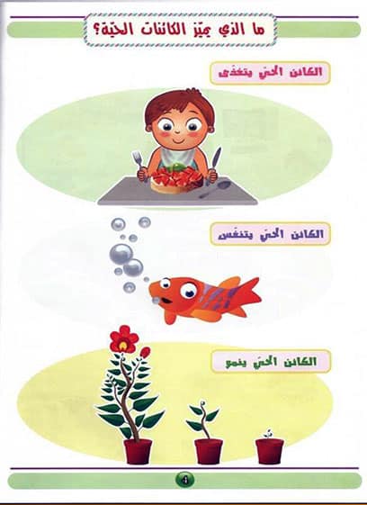 صورة المنتج 6