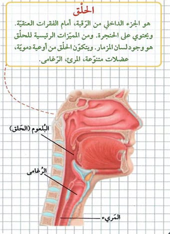 صورة المنتج 4