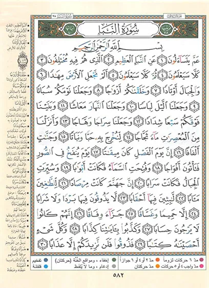 صورة مصغرة 2