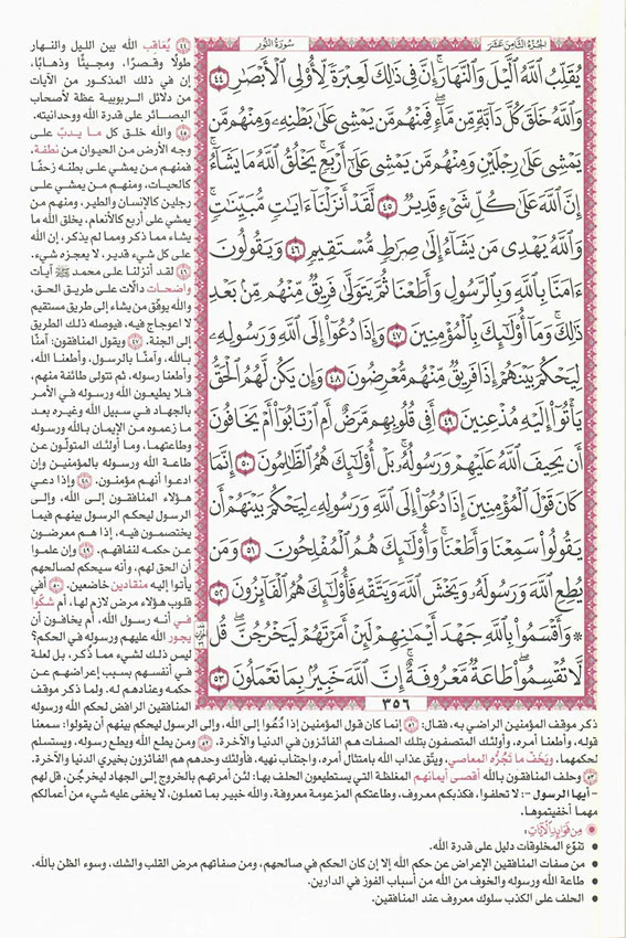 صورة مصغرة 2